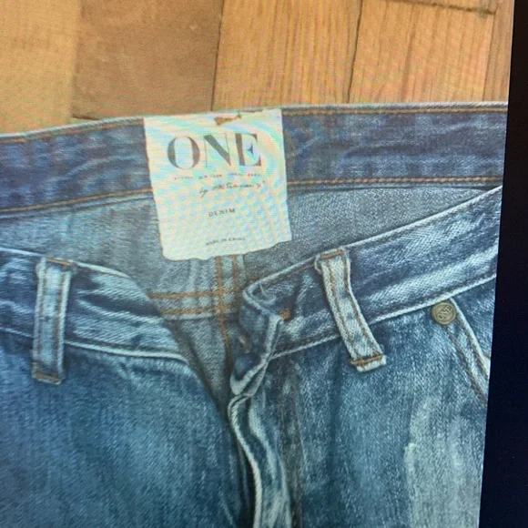 Free People “One Teaspoon” Trashed Jeans